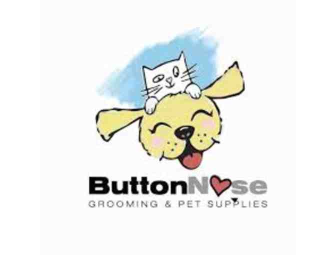 Button Nose - The Works Grooming Session - Photo 1