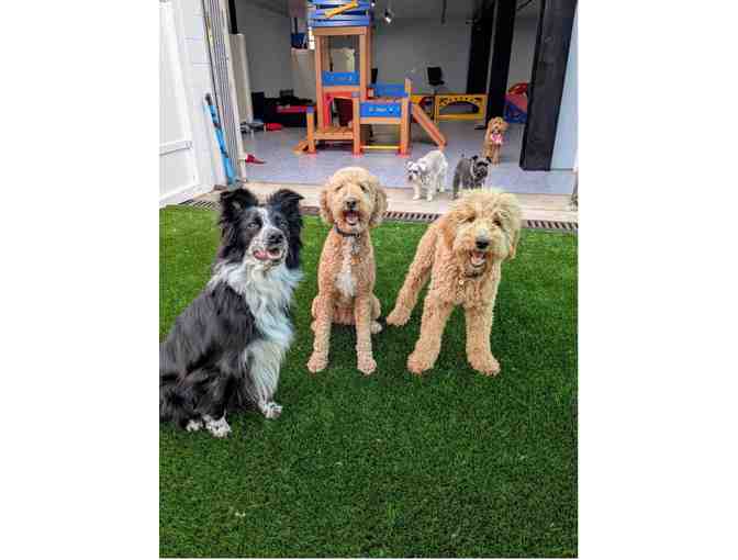 Ruff Resort - Pawradise Suite Package - Photo 3