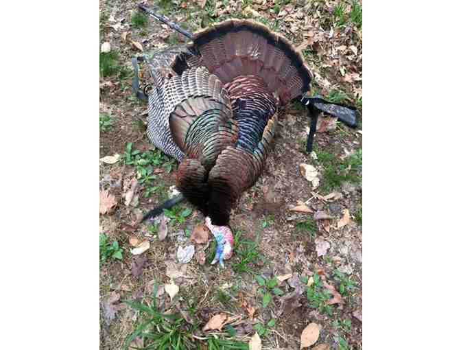Turkey Hunt for 2 in Anson County - Photo 1