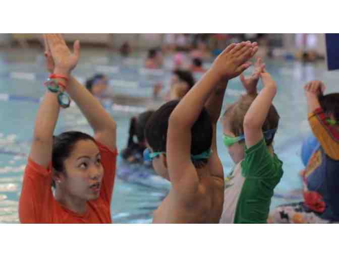 Four Group Swim Lessons at Aquatech