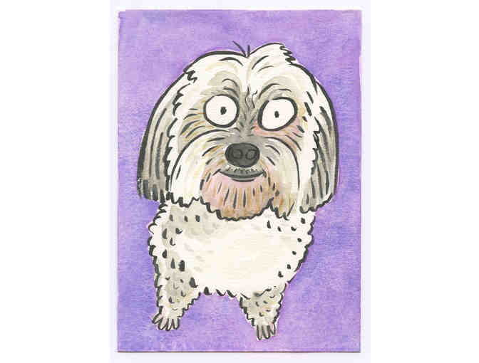 Calling all Pet People!