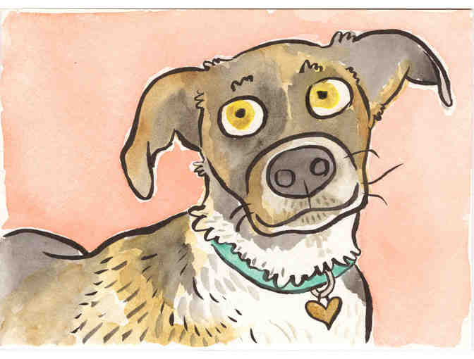 Calling all Pet People!