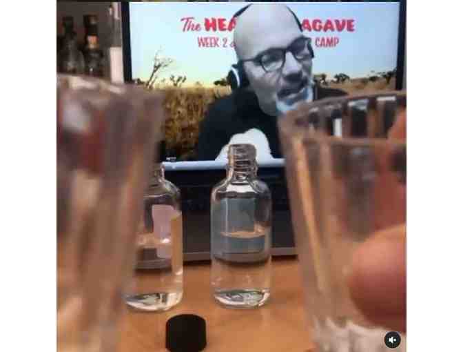 Agave Road Trip-in-Place