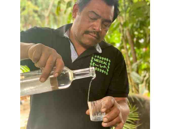 Agave Road Trip-in-Place