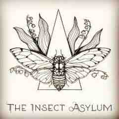 The Insect Asylum