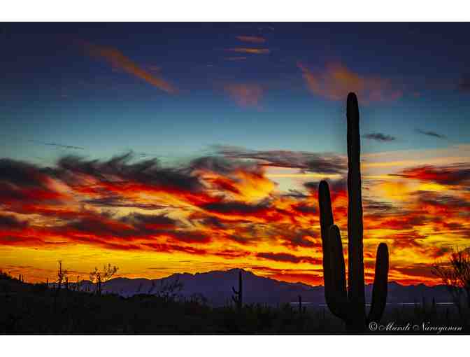 Saguaro Sunset - Metal Print Photo by Murali Narayanan - Photo 1