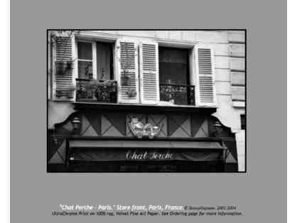 "Chat Perche - Paris" by Teresa Neptune, 100% of proceeds to benefit project