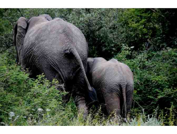South African Photo Safari for two (2) guests at Ezulwini Safari Lodges (PKG#1)