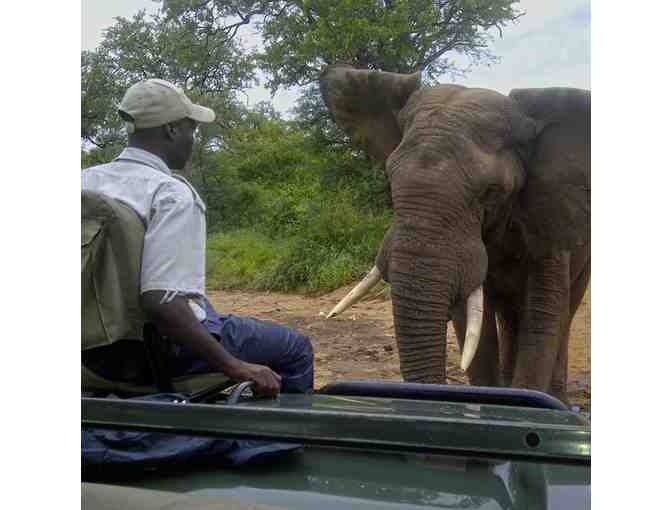 South African Photo Safari for two (2) guests at Ezulwini Safari Lodges (PKG#2)