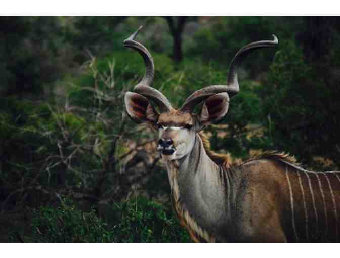 South Africa Hunting Safari Trip for 3 Hunters @ Theron African Safaris