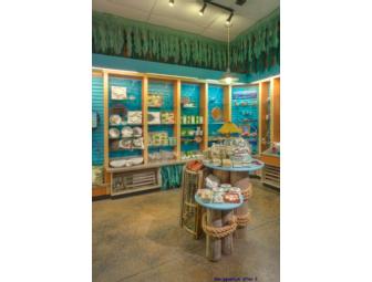 Retailer Makeover with Leslie Malkoff of Visualopathy