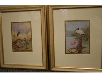 Pair of Framed Bird Prints