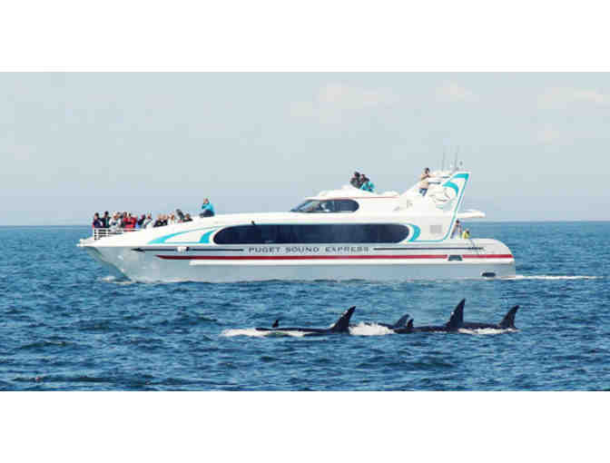 2 Night Stay at The Bishop Victorian Hotel and a Full Day of Whale Watching in Washington!