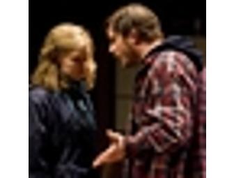 Dinner and a Play in Chicago with a Tour of the City