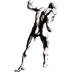 David Zid, Delay the Disease