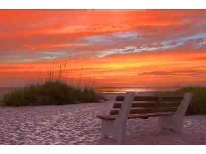 NEW! One week at Twin Palms Writers Cottage on Anna Maria Island, Florida