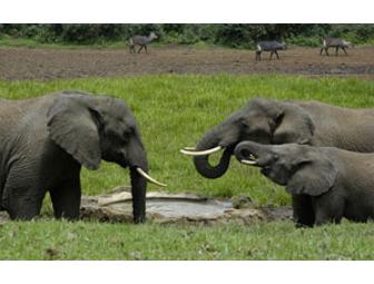 7-Day Beach and Bush Safari with The Old Line Safari Company