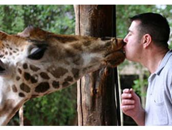 7-Day Beach and Bush Safari with The Old Line Safari Company