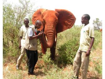 7-Day Beach and Bush Safari with The Old Line Safari Company