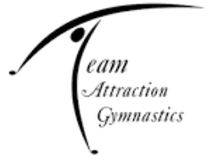 TAG Gymnastics - 1 Week Summer Camp