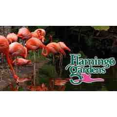 Flamingo Gardens