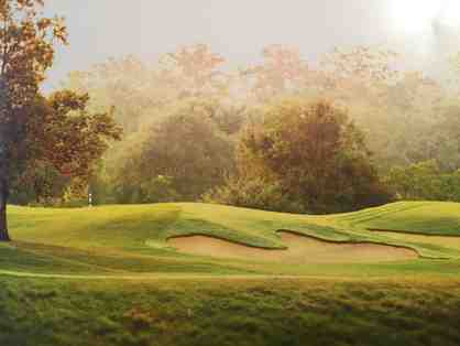 Money Hill Foursome of golf