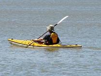 Kayak Rentals for 2