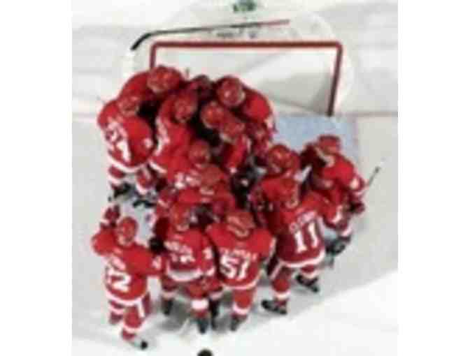 Four Tickets to Detroit Red Wings v. Tampa Bay Lightning Game 12/15/13