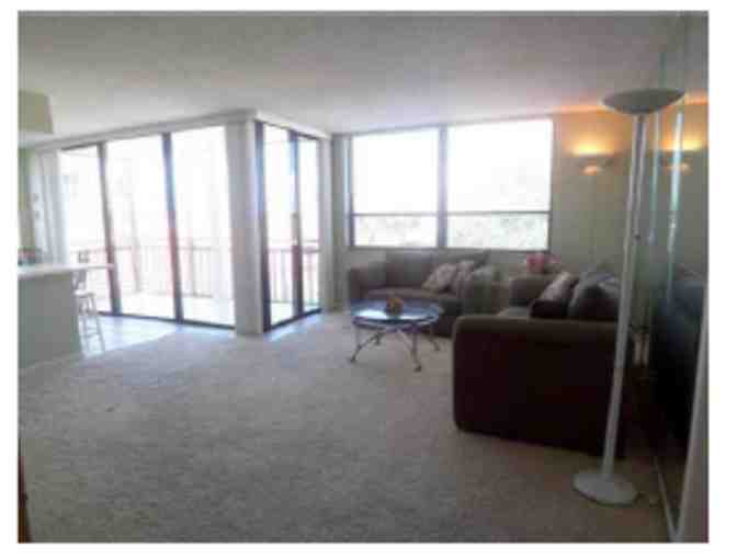 One Week Vacation on Boca Ciega Bay, Isla del Sol, St. Petersburg, FL