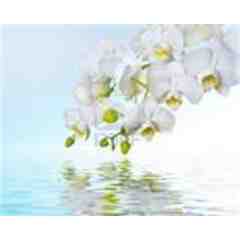 Reflections Salon & Spa