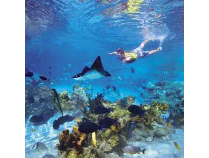 Seaworld, Aquatica & Discovery Cove Family Adventure, 3 Night Hotel Stay & Airfare for (4)