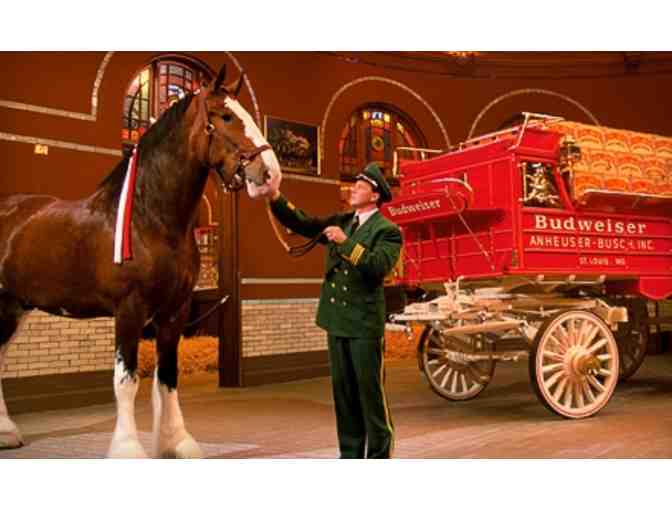 ST. LOUIS Anheuser-Busch Beermaster Tour, 3-Night Stay at Hyatt Regency & Airfare for (2)