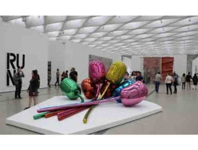 The Broad Museum - Four Passes