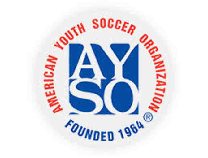 AYSO Region 42 - One Regular Season Player Registration for 2019 (1 of 2)