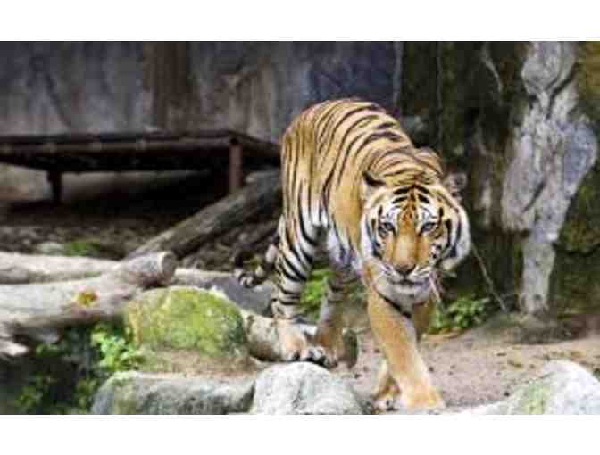America's Teaching Zoo - Family Membership for One Year