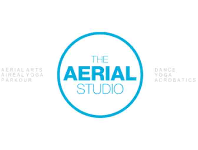 The Aerial Studio - One Free Class
