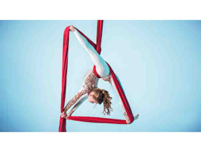 The Aerial Studio - One Free Class