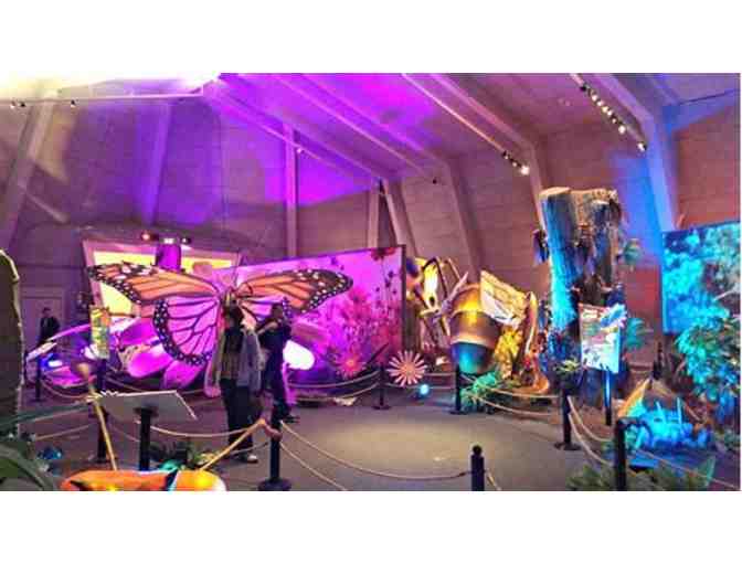 Family Guest Pass to Lawrence Hall of Science (1 of 2)