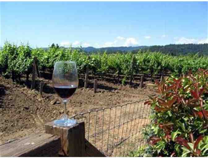 Eco-Tour and Tasting at Honig Vineyard & Winery for Four