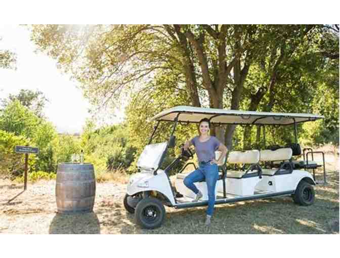Eco-Tour and Tasting at Honig Vineyard & Winery for Four