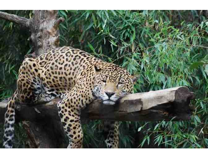 Family Pass to Sacramento Zoo