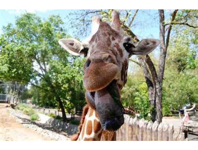 Family Pass to Sacramento Zoo