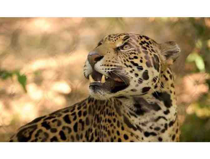 Family Pass to Sacramento Zoo