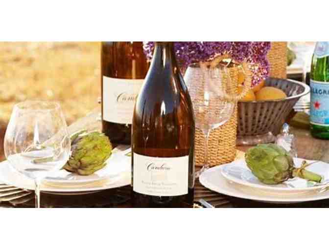 Three 2020 Santa Barbara Passport Memberships for a Total of Six People