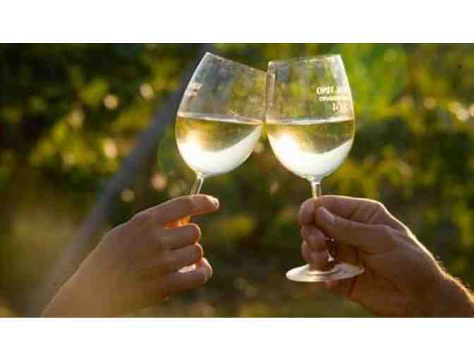 Three 2020 Santa Barbara Passport Memberships for a Total of Six People