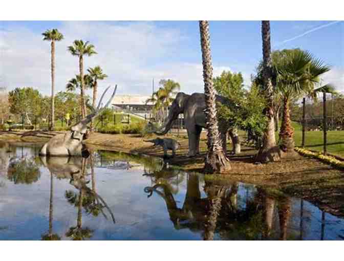 Four Guest Passes to either The Natural History Museum or LA Brea Tar Pits