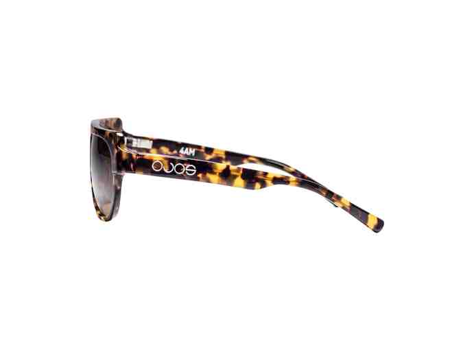 One Pair of Ojos Sunglasses