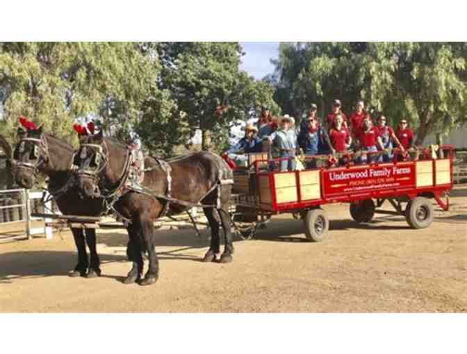 Family Season Pass to Underwood Family Farms