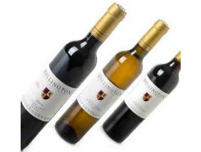 VIP Tasting Certificates for Eight Adults to Wellington Cellars (1 of 2)