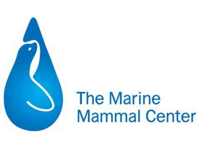 Pass for Two to The Marine Mammal Center - Photo 1